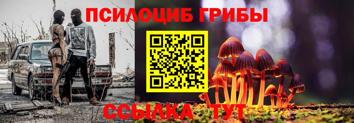 Псилоцибиновые грибы мухоморы Белгород